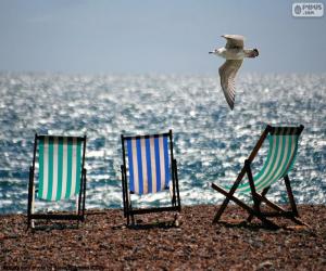 Puzzle Chaises et mouette