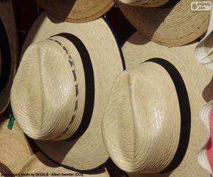 Puzzle Chapeau Panama