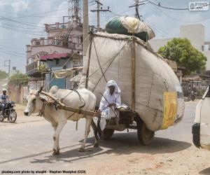 Puzzle Chariot tiré par un boeuf