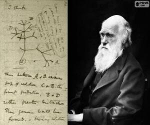 Puzzle Charles Darwin (1809-1882), biologiste britannique