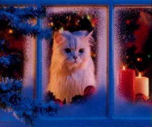 Puzzle Chat  regardant par la fenêtre à Noël