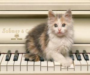 Puzzle Chaton jouant sur un piano