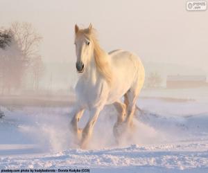 Puzzle Cheval courir sur la neige