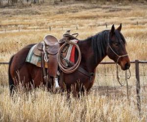 Puzzle Cheval de cow-boy