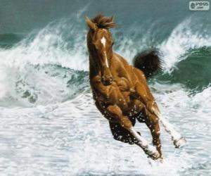 Puzzle Cheval en cours d'exécution dans les vagues