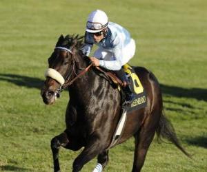 Puzzle Cheval et jockey sur une course de chevaux à l'hippodrome