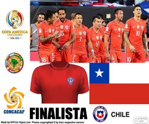 Puzzle CHI finaliste Copa América 2016