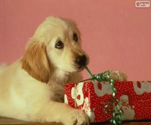 Puzzle Chiot jouant avec un ruban de un cadeau