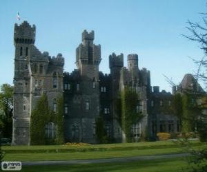 Puzzle Château d'Ashford, Irlande