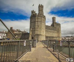 Puzzle Château de Caernarfon, Galles