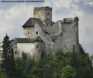 Puzzle Château de Niedzica