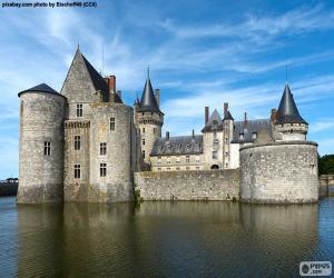 Puzzle Château de Sully-sur-Loire, France