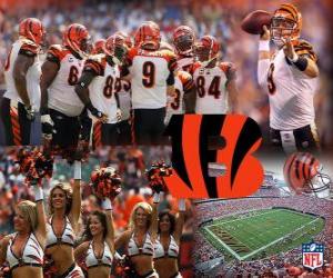 Puzzle Cincinnati Bengals