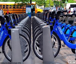 Puzzle Citi Bike, New York