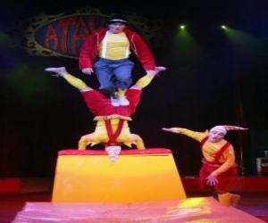 Puzzle Clowns acrobates