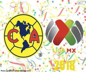 Puzzle Club America, champion de l’Apertura 2018