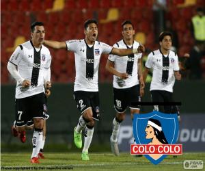 Puzzle Colo-Colo, Apertura 2015