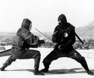 Puzzle Combat entre deux ninjas