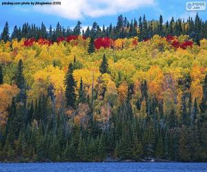 Puzzle Couleurs d’automne