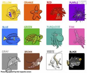 Puzzle Couleurs en anglais