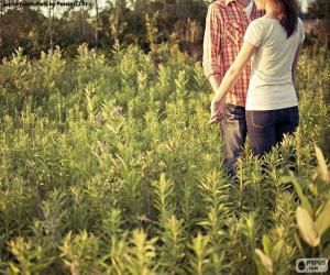 Puzzle Couples dans le domaine