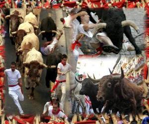 Puzzle Course de taureaux ou encierro, Sanfermines. Pampelune, Navarre, Espagne. Fêtes de San Fermín du 6 au 14 Juillet