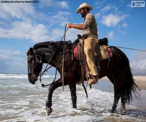 Puzzle Cowboy dans la mer