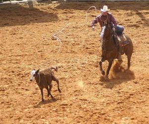 Puzzle Cowboy en montant un cheval et en recueillant une bête avec le lasso