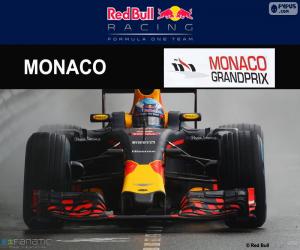 Puzzle D. Ricciardo, G.P de Monaco 2016