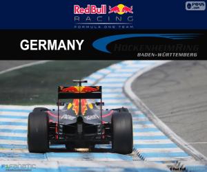 Puzzle D. Ricciardo, GP d’Allemagne 2016
