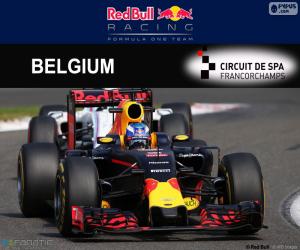 Puzzle Daniel Ricciardo GP Belgique 2016