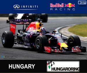 Puzzle Daniel Ricciardo G.P Hongrie 15