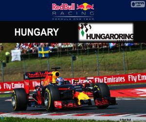 Puzzle Daniel Ricciardo, GP Hongrie 2016