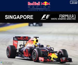 Puzzle Daniel Ricciardo, GP Singapour 16