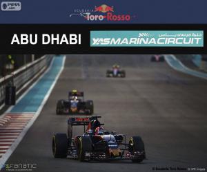 Puzzle Daniil Kvyat, GP Abu Dhabi 2016