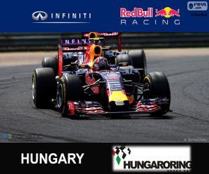 Puzzle Daniil Kvyat G.P Hongrie 2015