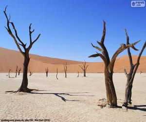 Puzzle Deadvlei, Namibie