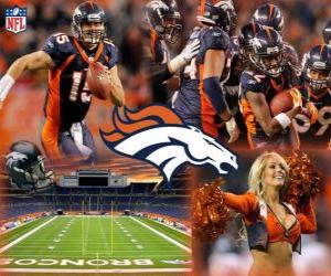 Puzzle Denver Broncos