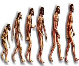 Puzzle Des séquences de l'évolution humaine à partir de australopithèque Lucy à l'homme moderne, en passant entre autres par des hommes de Heidelberg, Beijing, Neandertal et Cromagnon