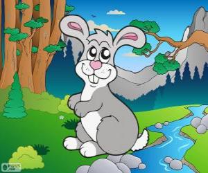 Puzzle Dessin de lapin