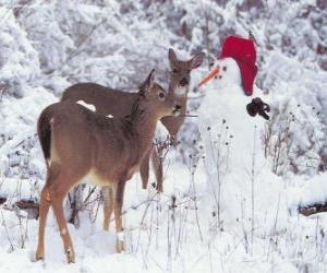 Puzzle Deux cerfs à côté d'un bonhomme de neige