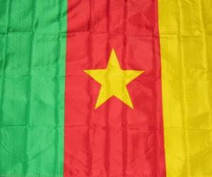 Puzzle Drapeau de Cameroun