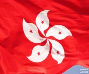 Puzzle Drapeau de Hong Kong