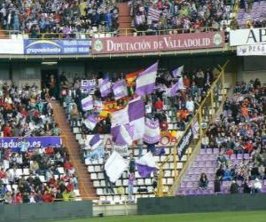 Puzzle Drapeau de Real Valladolid C. F.