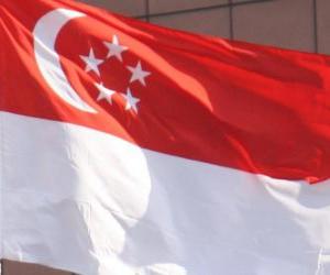 Puzzle Drapeau de Singapour