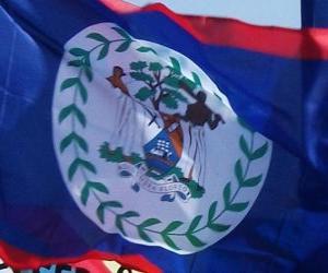 Puzzle Drapeau du Belize