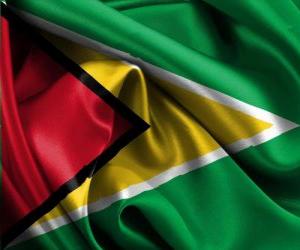 Puzzle Drapeau du Guyana