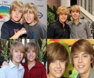 Puzzle Dylan et Cole Sprouse sont deux joueurs italiens qui résident aux États-Unis