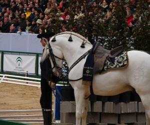 Puzzle Elégant cheval avec ornement