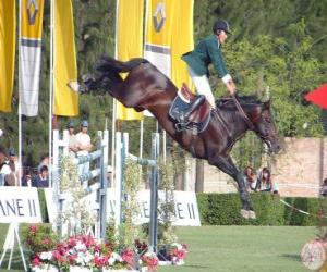 Puzzle Equitation - Cheval et cavalier dans l'exercice de saut